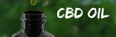 What is CBD Oil?
